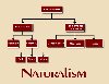 To naturalism diagram